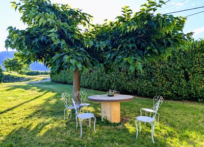 Espace jardin mûrier