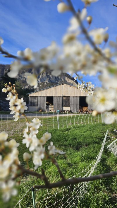 La ferme au printemps 2025
