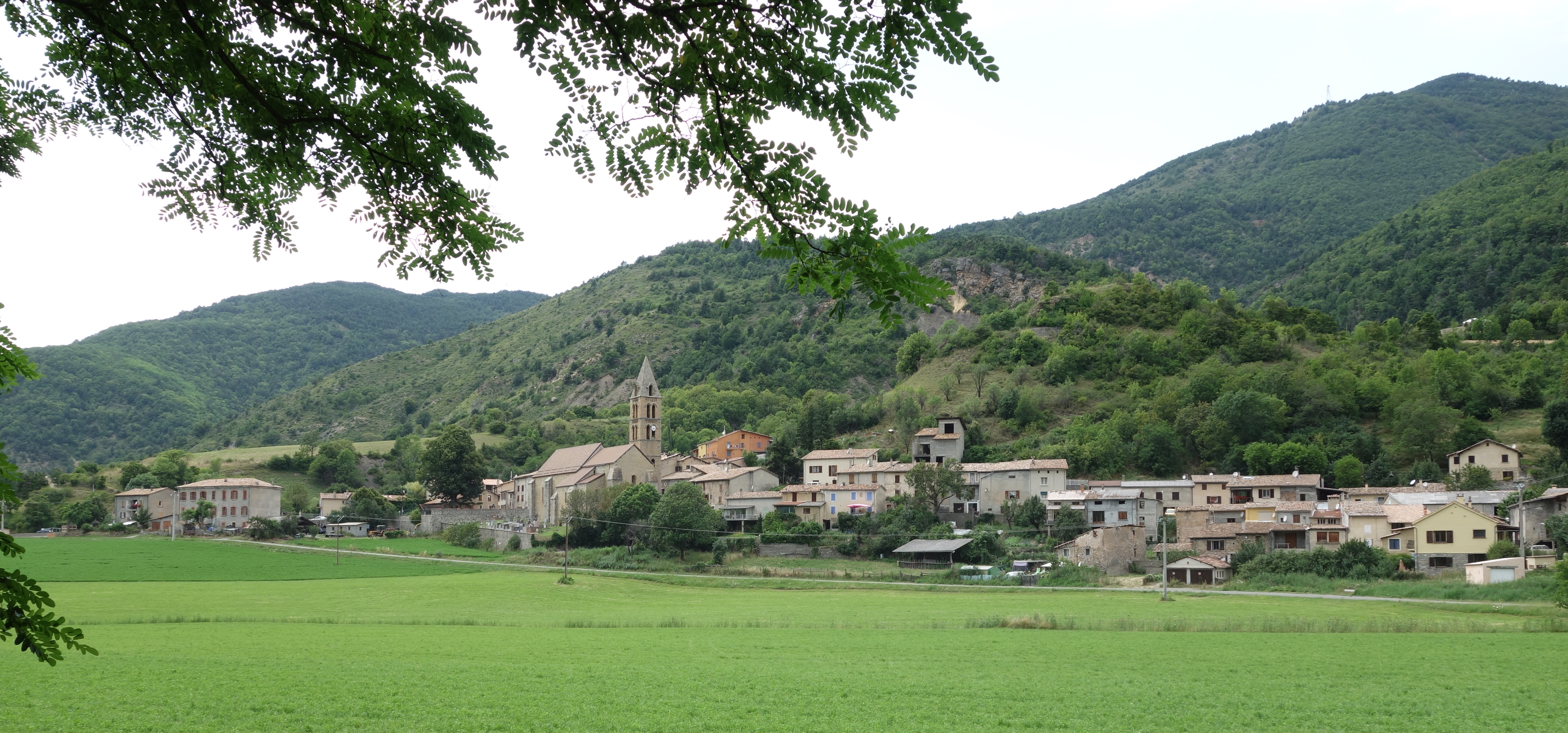 Bayons