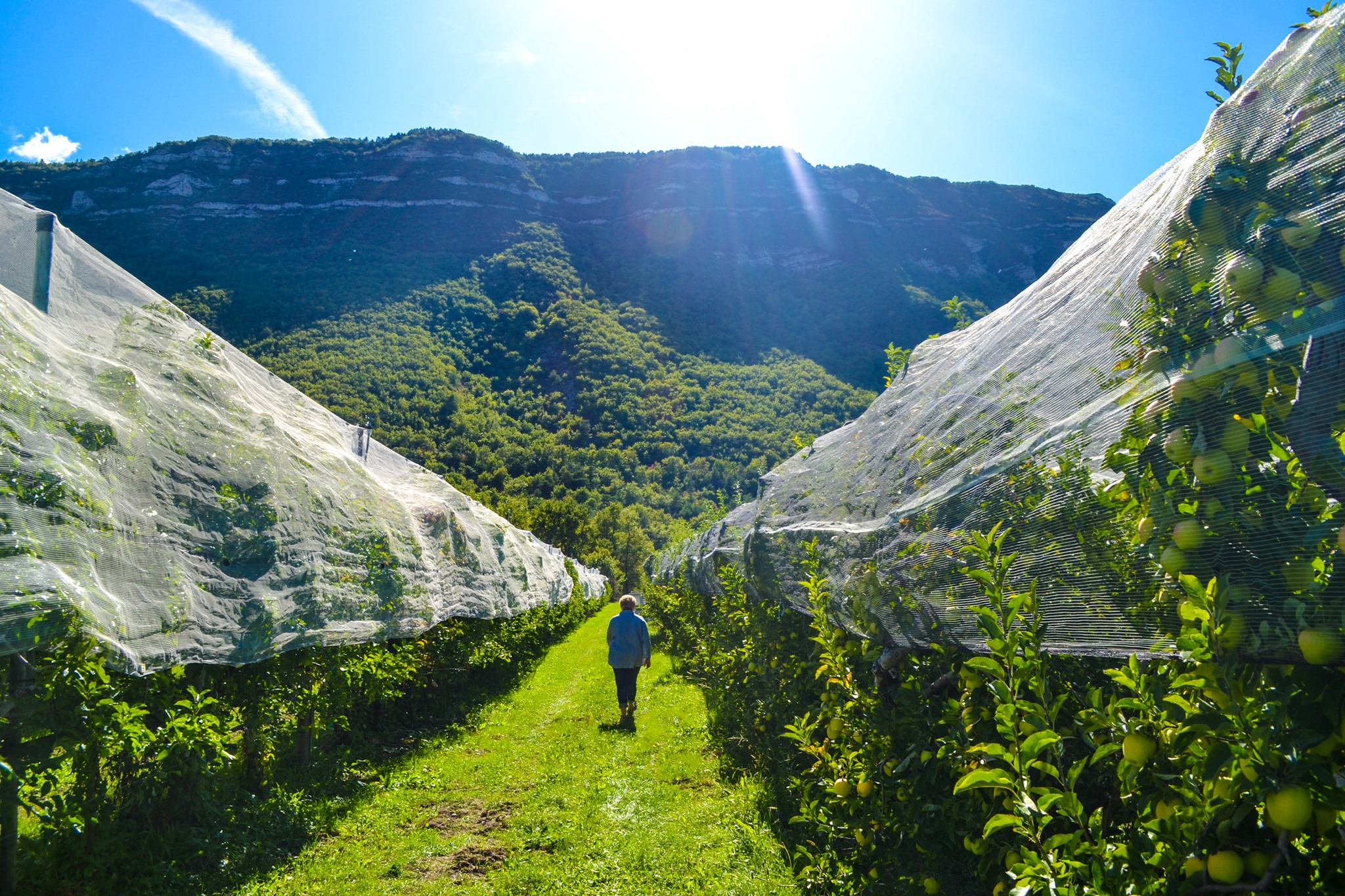 Exploitation Laurence Long