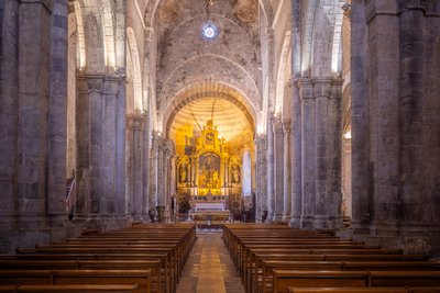 Cathédrale Notre-Dame et Saint-Thyrse_Sisteron