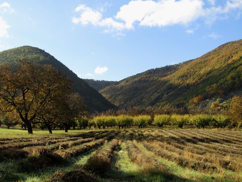 La paisible Vallée de l'Oule