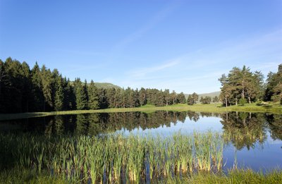 Au printemps