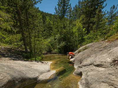 Les Gorges du Riou