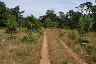 Beau sentier aride et roulant