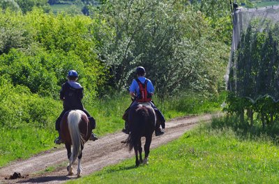 Vergers autour de Ribiers