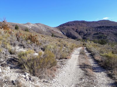 Très belle portion avec vue dégagée