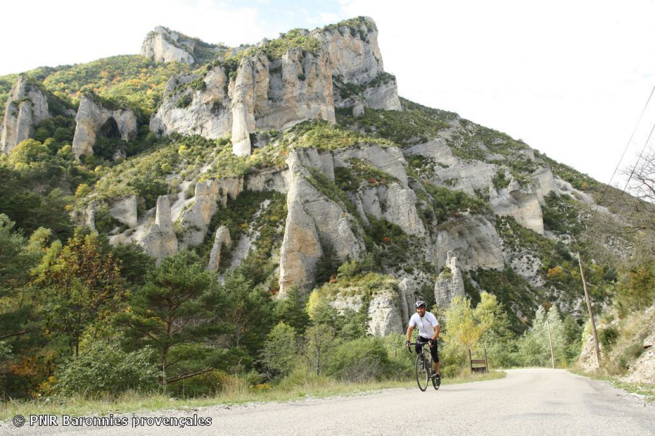 Sur la route des Vautours