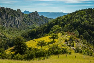 Non loin de la Montagne